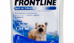 3db Frontline Spot On M kullancs, bolha ellen kistestű (10-20kg) kutya számára
