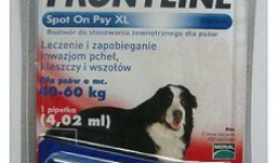 3db Frontline Spot On XL kullancs, bolha ellen nagy (40kg feletti) kutya számára