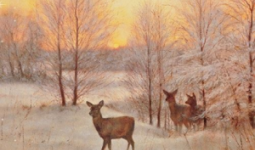 AMB.13313630 Deer At Sunset papírszalvéta 33x33cm,20db-os