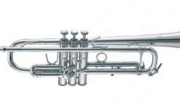 Bach VBS1S Bb trombita