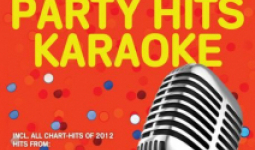 Best of 2012/2013 Party Hits Karaoke
