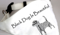 Black Dog Is Beautiful - kendő 1