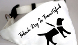 Black Dog Is Beautiful - kendő 2