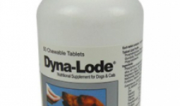 Dyna Lode Tabletta Idősödő kutyáknak és macskáknak 50db