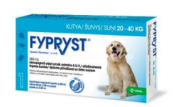 Fypryst SpotOn 20-40kg 1db kutyának Bolha és Kullancsírtó Csepp