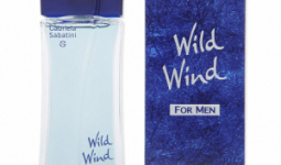 Gabriela Sabatini Wild Wind for Men after shave lotion 75 ml Férfi