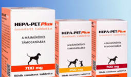 Hepa-Pet Plus tabletta 30x250mg