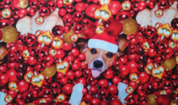 Karácsonyi kutyusok - pamutvászon (Xmas Dogs Digital Cotton)