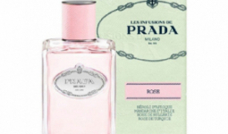 Női Parfüm Infusion Rose Prada (200 ml)