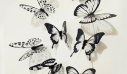 Öntapadós 3D pillangó fali dekoráció