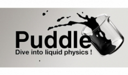 Puddle (Digitális kulcs - PC)