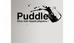 Puddle (PC - Steam Digitális termékkulcs)
