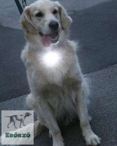 Világító nyakörv - kétszer fényesebb - Pup Light 2 