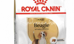 Royal Canin BEAGLE ADULT 12kg száraz kutyatáp