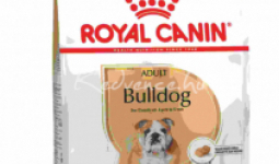 Royal Canin BULLDOG ADULT 12kg száraz kutyatáp