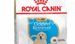 Royal Canin Golden Retriever Puppy 3kg száraz kutyatáp