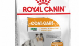 Royal Canin MINI COAT CARE 1kg száraz kutyatáp