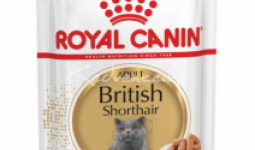 Royal Canin British Shorthair adult 85g nedves macskatáp
