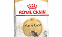 Royal Canin Maine Coon adult 10kg száraz macskatáp