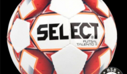 Select Talento 11