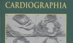 Terheléses echocardiographia