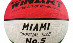 Winart Miami kosárlabda